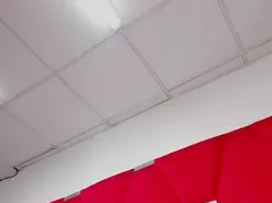 Amateur Live Sex of alice772
