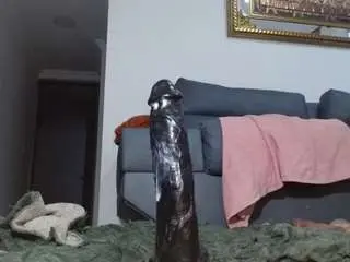 Camsoda Watch Live Sex Cams of sweet-horny88